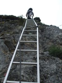 via-ferrata-gantrisch_3.jpg